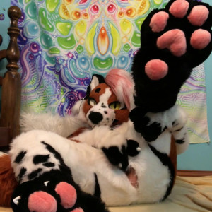 Video by fox_anatomy published on April 30,2023 23:29:00 - BestThots