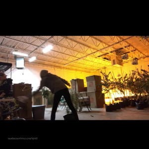 Video by neptunenips published on June 2,2023 05:04:00 - BestThots