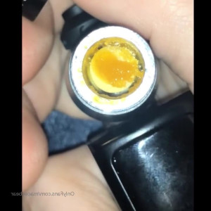 Video by neptunenips published on April 3,2023 00:07:00 - BestThots