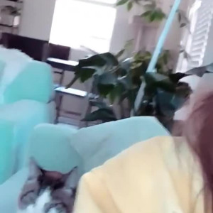 Video by mollyx published on April 9,2023 21:32:00 - BestThots