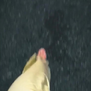 Video by mollyx published on March 15,2023 19:54:00 - BestThots