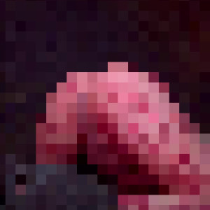 Video by kellykirstein published on April 30,2023 09:04:00 - BestThots