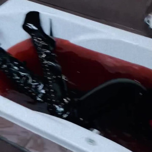 Video by lady_perse published on July 3,2023 13:05:00 - BestThots