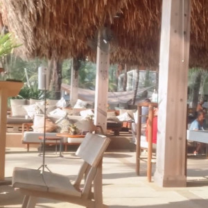 Video by inkedsns published on June 13,2023 11:58:00 - BestThots