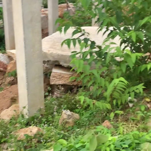 Video by inkedsns published on August 22,2023 19:16:00 - BestThots