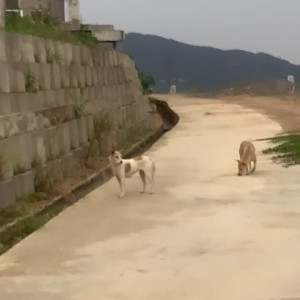 Video by inkedsns published on May 10,2023 11:59:00 - BestThots