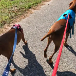 Video by ashleymason published on May 27,2023 08:06:00 - BestThots