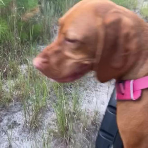 Video by ashleymason published on April 11,2023 19:44:00 - BestThots