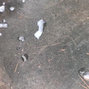 Video by tsdrirodrigues published on July 23,2023 04:48:00 - BestThots