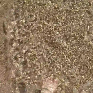 Video by sisgreen published on July 14,2023 00:00:00 - BestThots