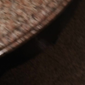 Video by sisgreen published on August 8,2023 15:34:00 - BestThots
