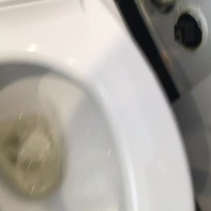 Video by lexiefux published on April 25,2023 08:23:00 - BestThots