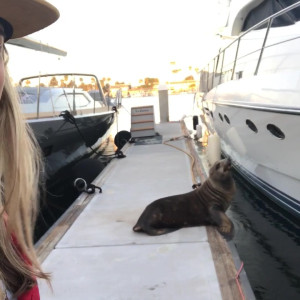 Video by lexiefux published on March 13,2023 21:28:00 - BestThots