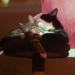 Video by bunnyxbelle published on July 5,2023 21:16:00 - BestThots