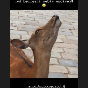 torothecreator #4521333