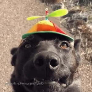 Video by keishagrey published on April 15,2023 08:51:00 - BestThots