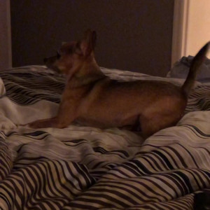 Video by rachelstormsxxx published on May 14,2023 08:22:00 - BestThots