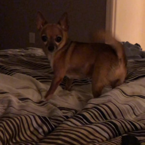 Video by rachelstormsxxx published on July 5,2023 19:54:00 - BestThots