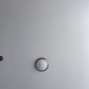 Video by heatheredeffect published on August 8,2023 07:17:00 - BestThots