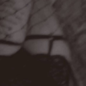 sexysouthernsmut #4589155