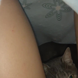 Video by lilajordan published on March 12,2023 17:26:00 - BestThots