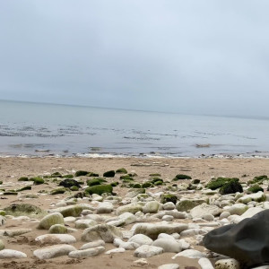 Video by ava-evans published on August 26,2023 21:17:05 - BestThots