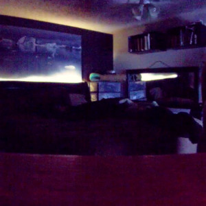 Video by wcaproductions1 published on June 21,2023 19:10:00 - BestThots