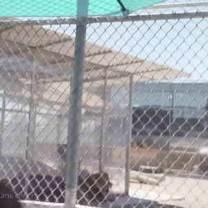Video by wcaproductions1 published on April 26,2023 16:13:00 - BestThots