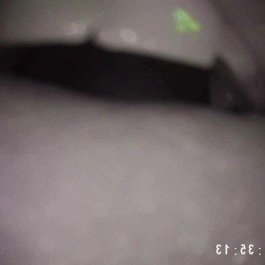 Video by holykoley published on March 24,2023 03:57:00 - BestThots