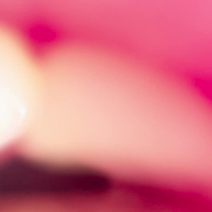 Video by holykoley published on April 11,2023 19:35:00 - BestThots