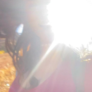 sunshinetampa #4588248