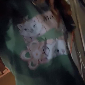 Video by docilemoth published on April 10,2023 03:02:00 - BestThots