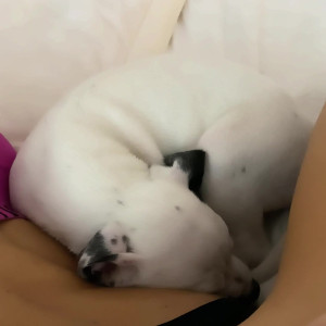 Video by jalasue published on August 3,2023 21:50:00 - BestThots