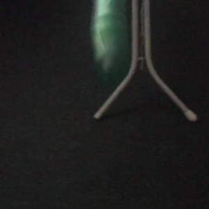 Video by lilylanexxx published on March 24,2023 01:09:00 - BestThots