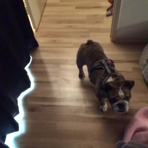 Video by lilylanexxx published on March 31,2023 17:09:00 - BestThots