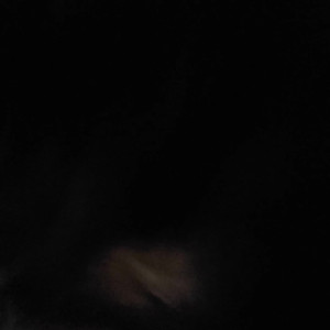 Video by sophie_fennec published on April 25,2023 10:34:00 - BestThots