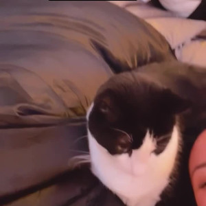Video by bcrispinofficial published on April 30,2023 17:13:00 - BestThots