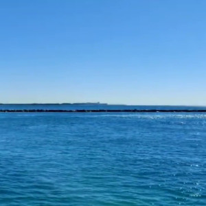 annabellerogersfree #5000579