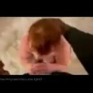 asstynmartyn #5201363