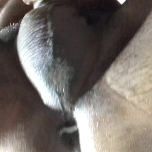 Video by elboydetuiter published on August 26,2023 22:36:37 - BestThots