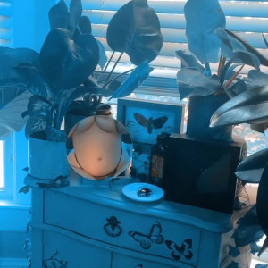 Video by midoribug published on August 26,2023 23:56:40 - BestThots