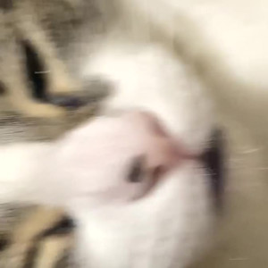 Video by xiouuu published on August 27,2023 00:29:29 - BestThots