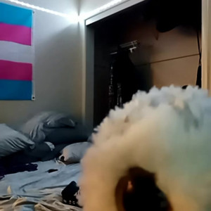 marymassacre #3756597