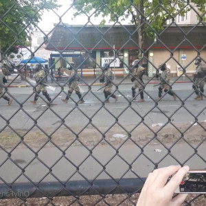 marymassacre #4214378