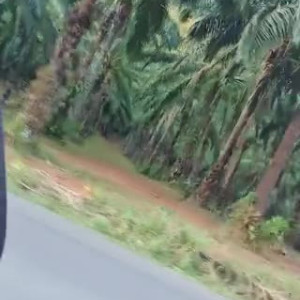 Video by unlocked published on July 24,2023 12:41:00 - BestThots