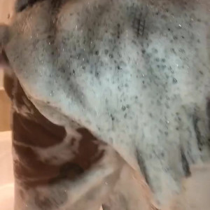 Video by nikiarenee published on August 19,2023 17:47:00 - BestThots