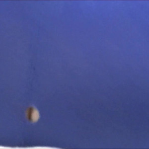 Video by savannahfoxxx published on March 5,2023 11:02:00 - BestThots