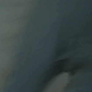 savannahfoxxx #4284870