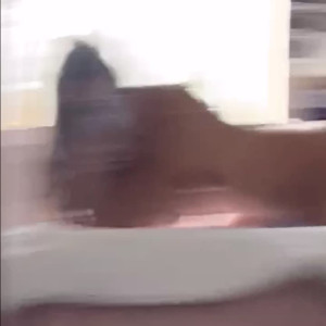 Video by mankoprincess published on July 25,2023 04:36:00 - BestThots