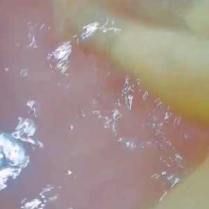 Video by xaristocatsx published on July 12,2023 15:27:00 - BestThots